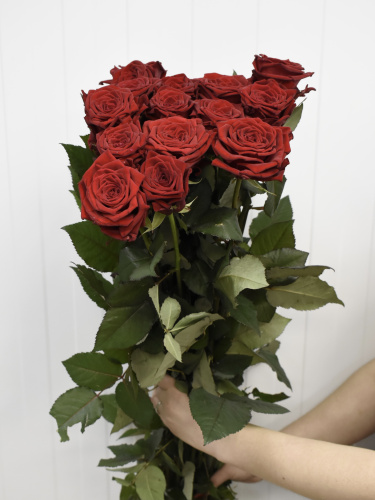 Розы Ред Наоми (Red Naomi) 80 см.