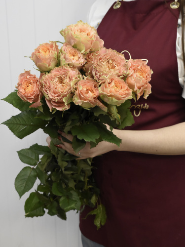 Розы Луиза (Luise) 50 см.