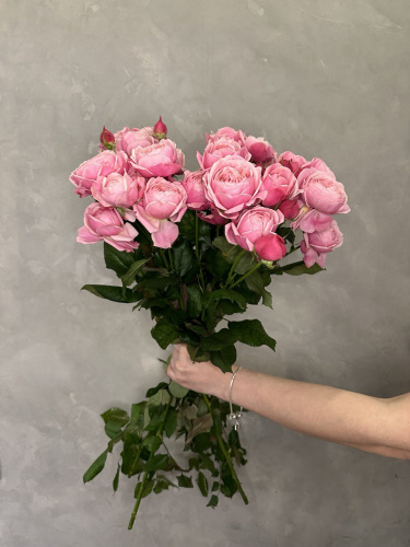 Кустовая роза Сильва пинк 70см