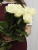 Розы Аваланш (Avalanche) 60 см.