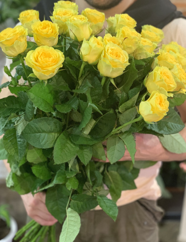 Букет из 25 роз «Илиос»