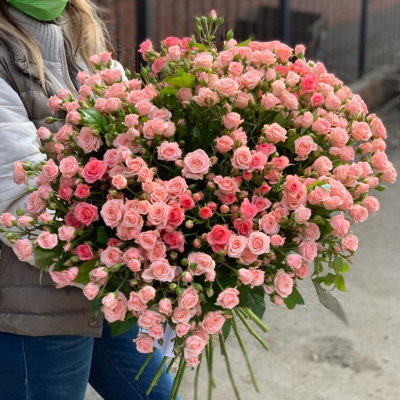 Букет из 33 кустовых роз