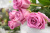 Розы Аква (Aqua) 60 см.