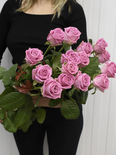 Розы Аква (Aqua) 50 см.